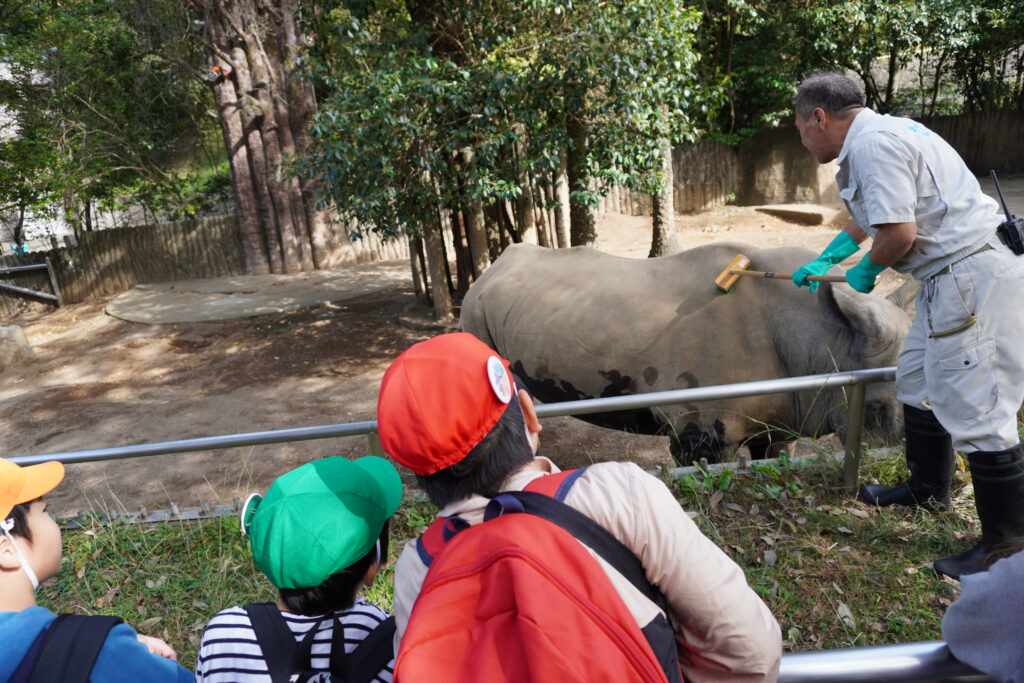 サイとサイの手入れをする飼育員を見る3班