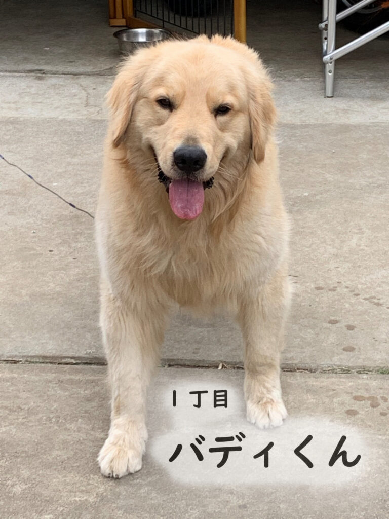 1丁目　バディくん
