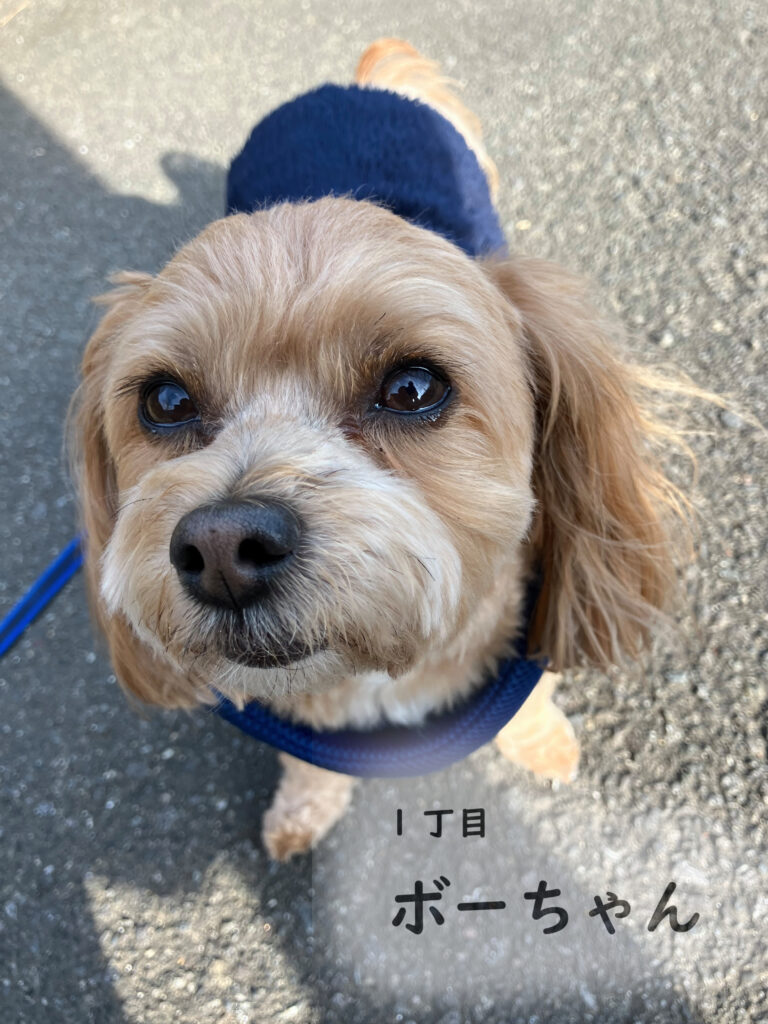 1丁目　ボーちゃん