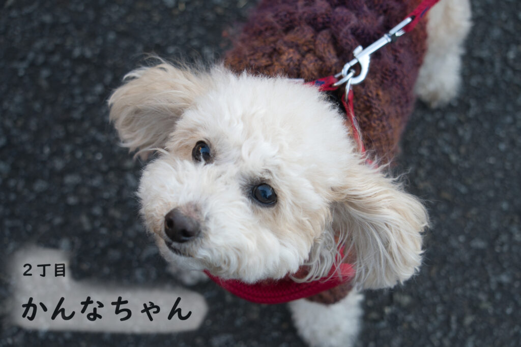 2丁目 かんなちゃん