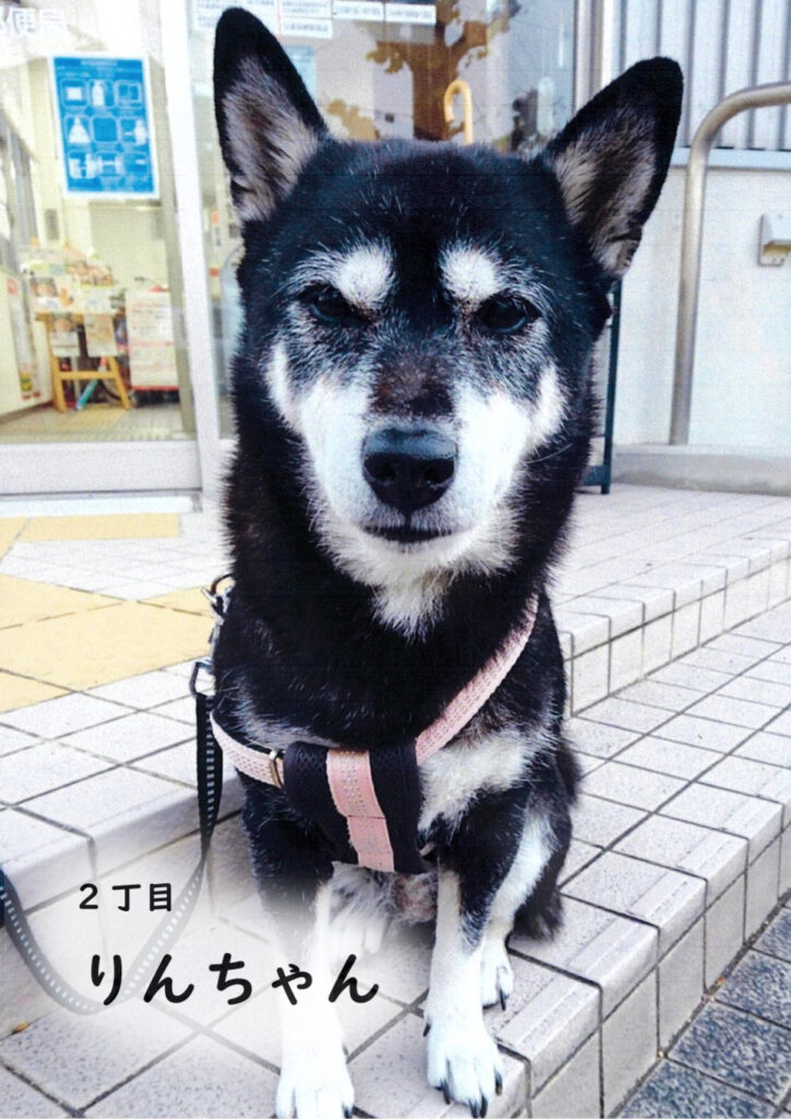 2丁目 りんちゃん