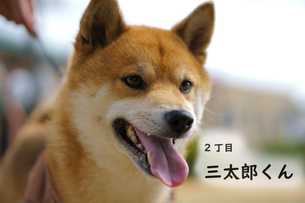 2丁目　三太郎くん