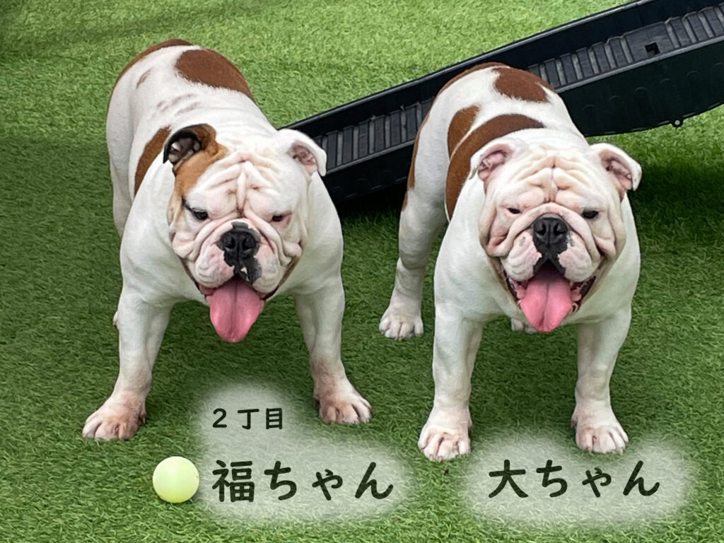 2丁目　大ちゃん　福ちゃん