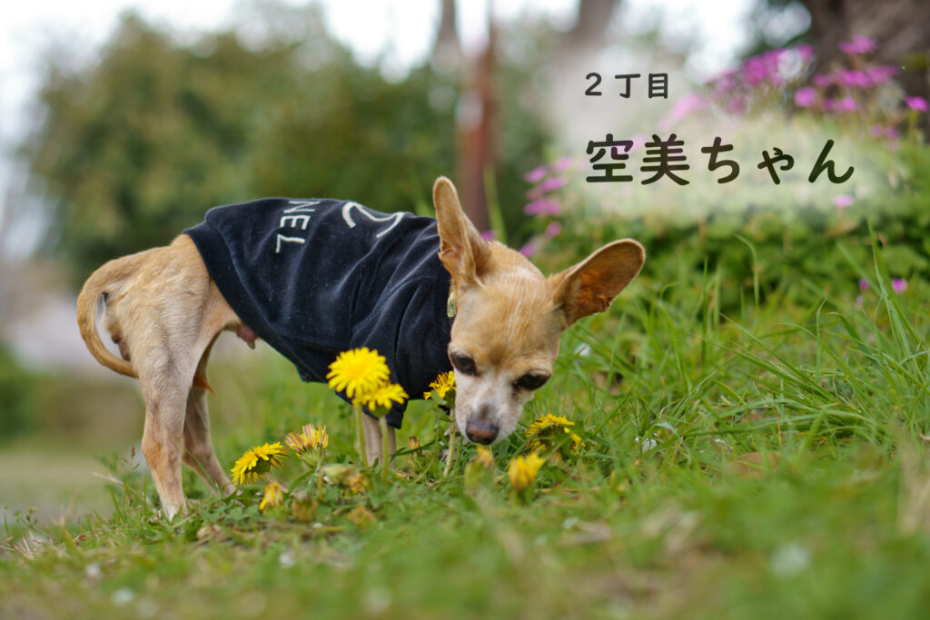 2丁目　空美ちゃん