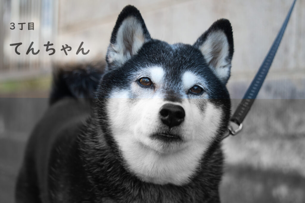 3丁目 てんちゃん