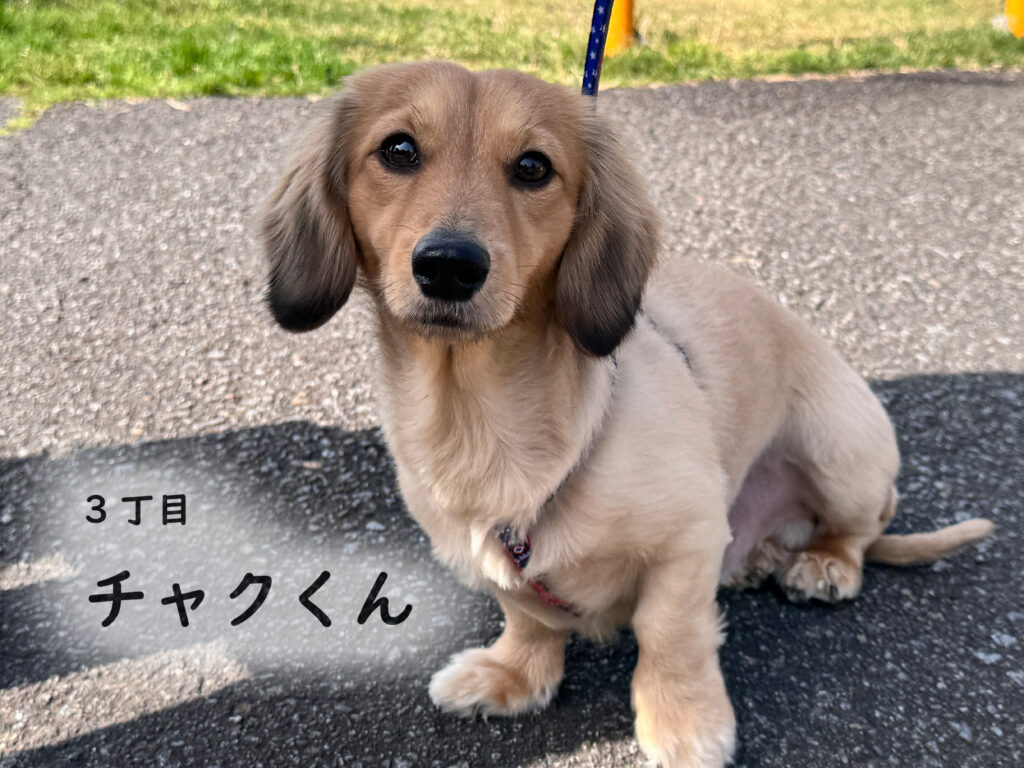 3丁目 チャクくん