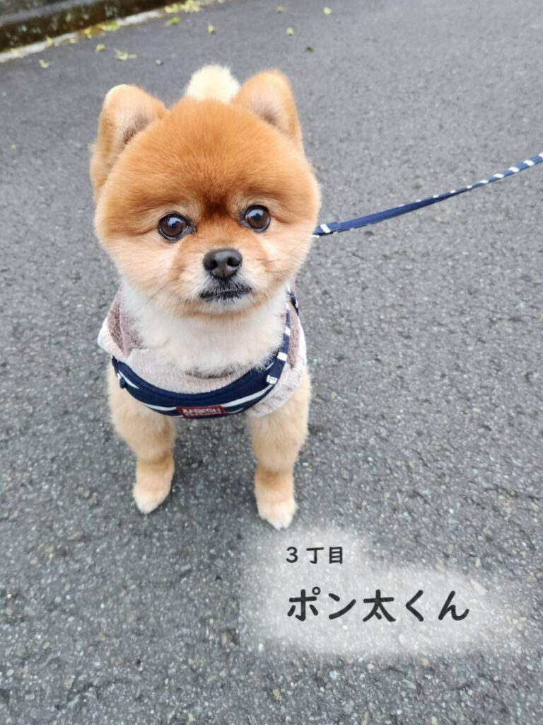 3丁目　ポン太くん