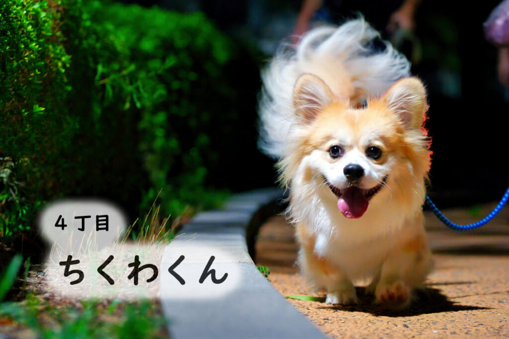 4丁目　ちくわくん