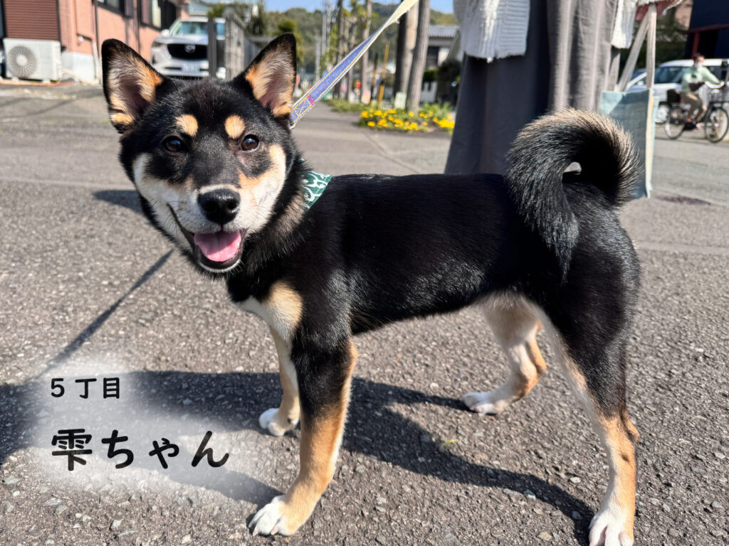 5丁目　雫ちゃん