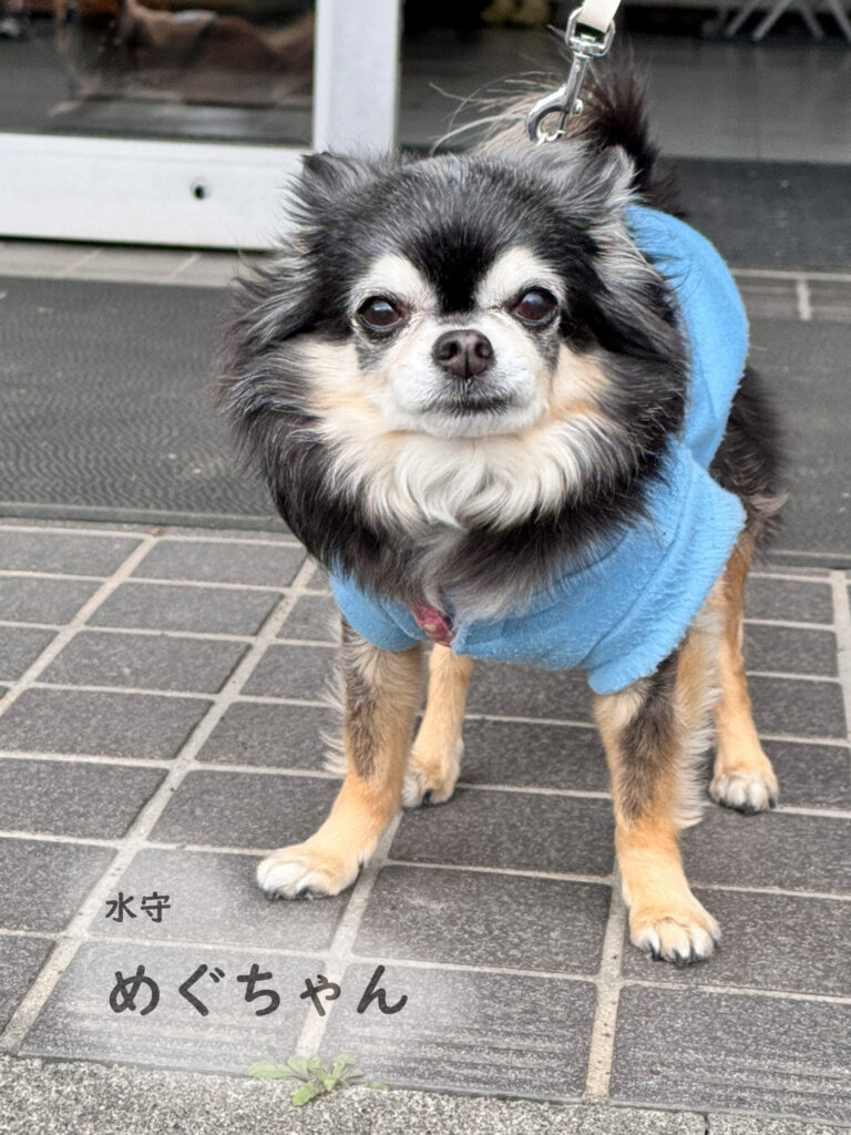 水守　めぐちゃん