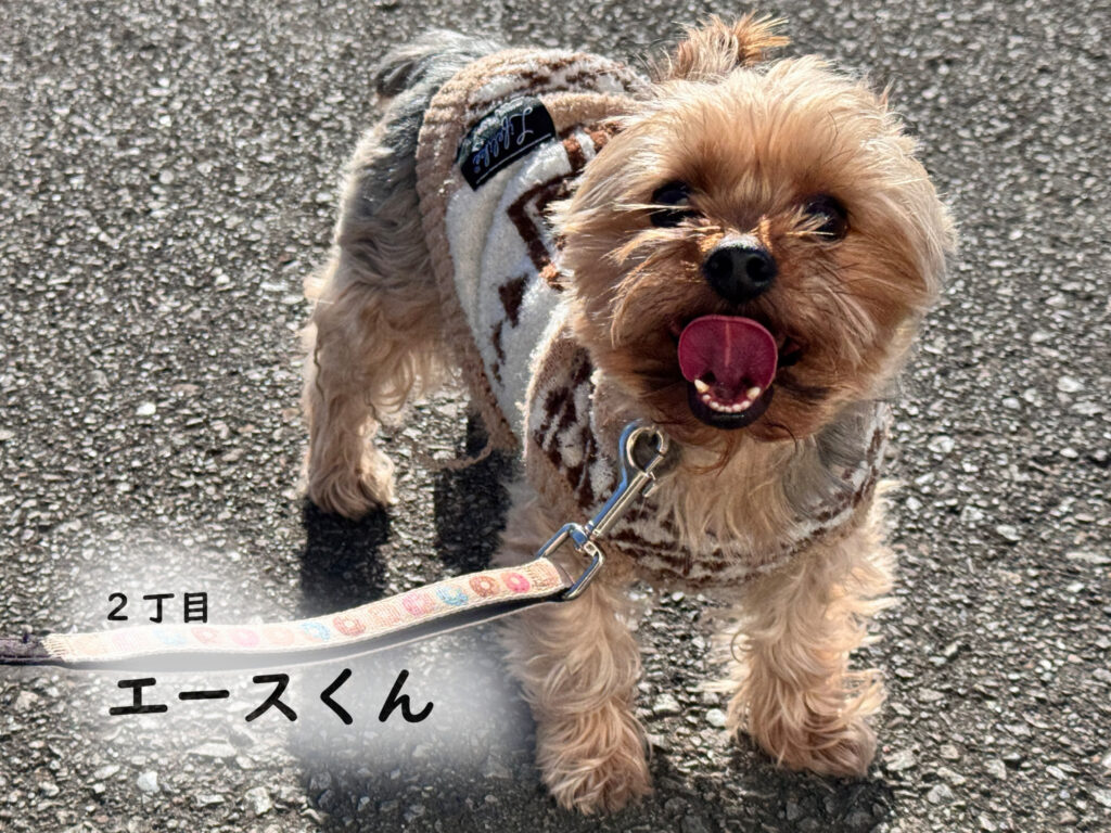 2丁目　エースくん