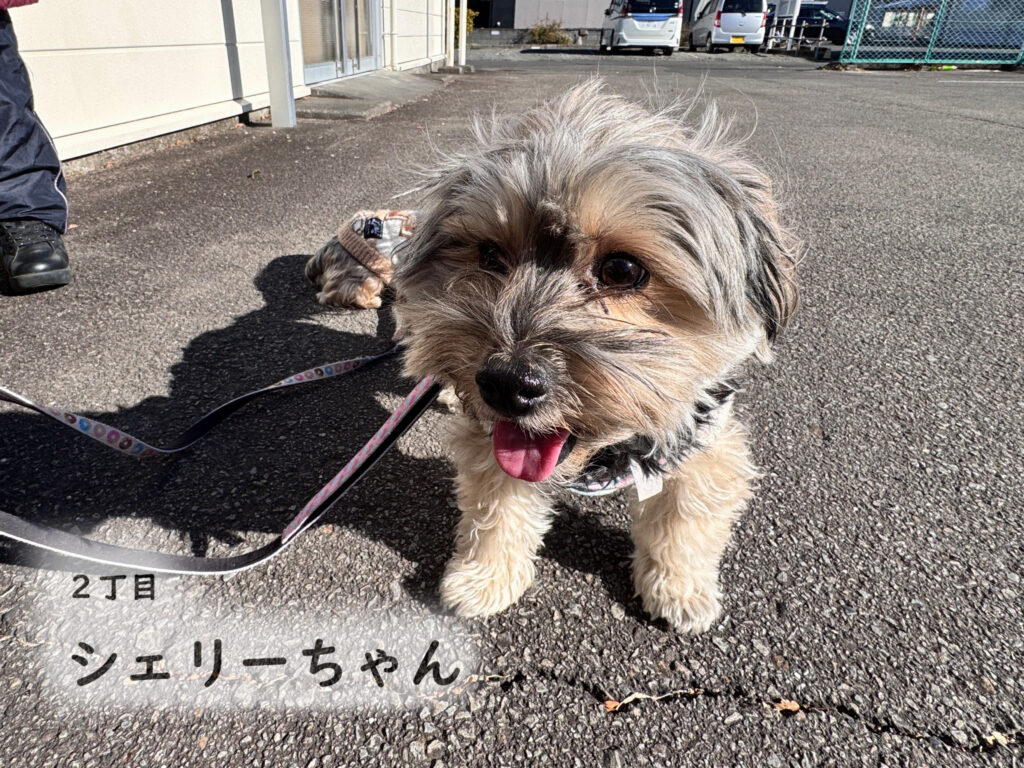 2丁目　シェリーちゃん