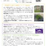 ふじおかだより5月号の画像です。下に文章があります。